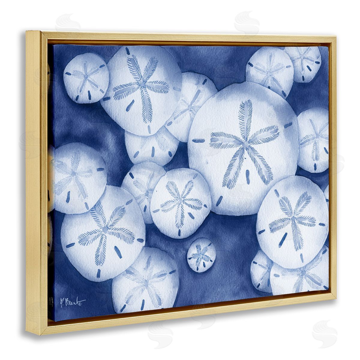 Watercolor Style Sand Dollars Gold Floating Frame Canvas Wall Art, Home Decor by Paul Brent