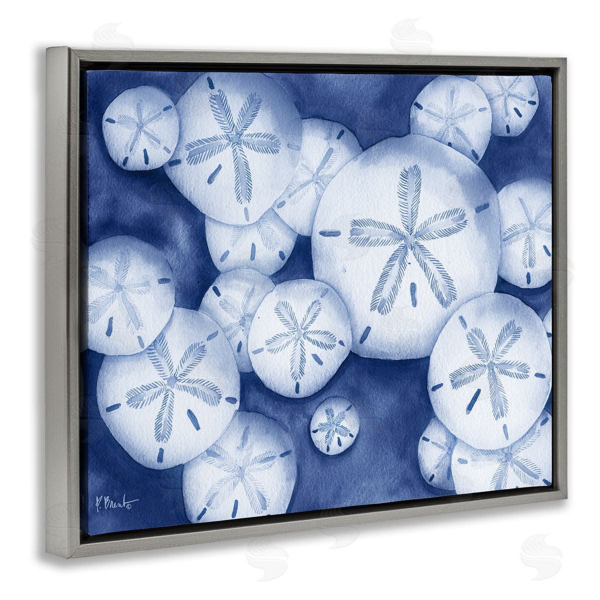 Watercolor Style Sand Dollars Grey Floating Frame Canvas Wall Art, Home Decor by Paul Brent