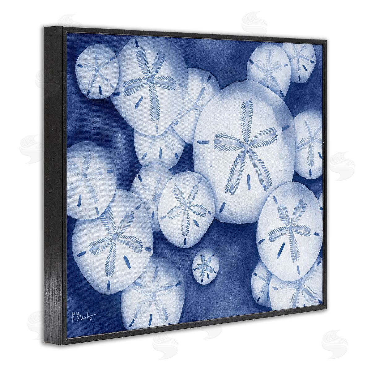 Watercolor Style Sand Dollars Black Frame Print Wall Art, Home Decor by Paul Brent