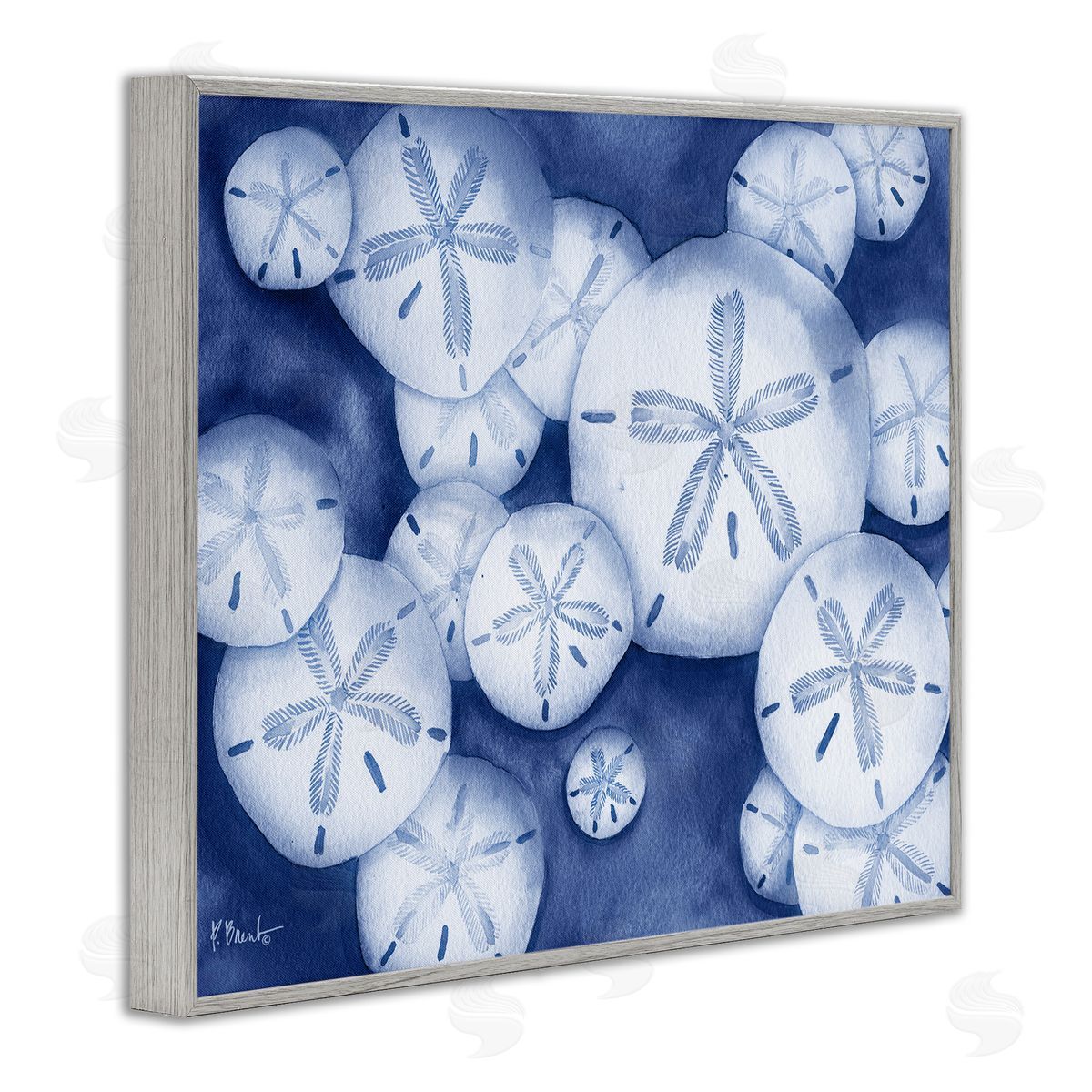 Watercolor Style Sand Dollars Grey Frame Print Wall Art, Home Decor by Paul Brent