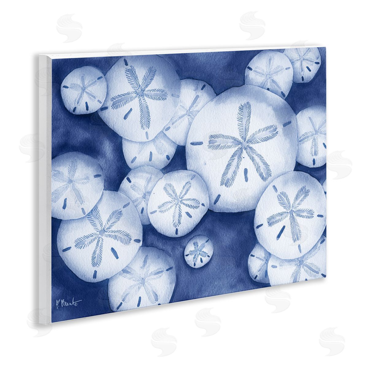 Watercolor Style Sand Dollars Wood Plaque Wall Art, Home Decor by Paul Brent