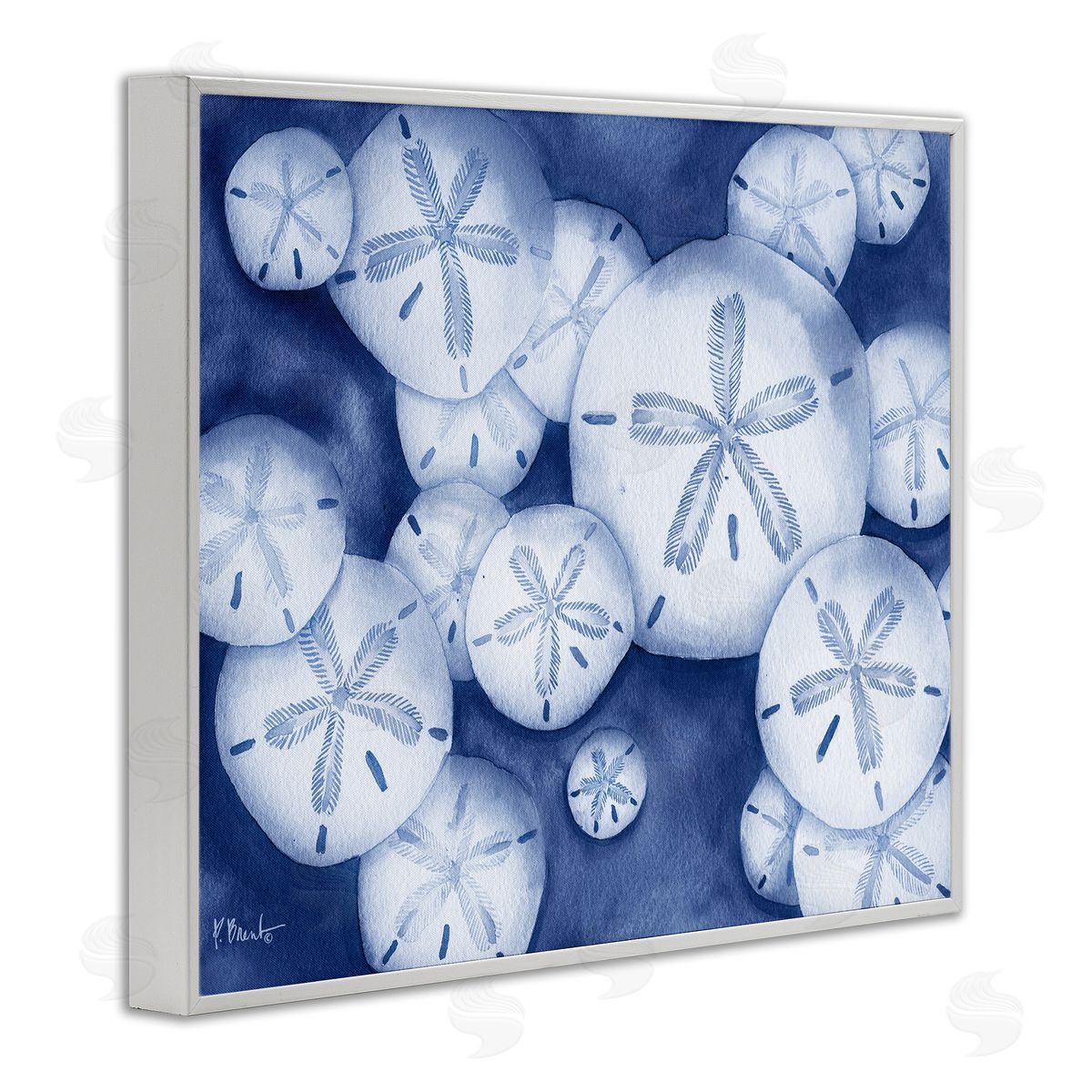 Watercolor Style Sand Dollars White Frame Print Wall Art, Home Decor by Paul Brent