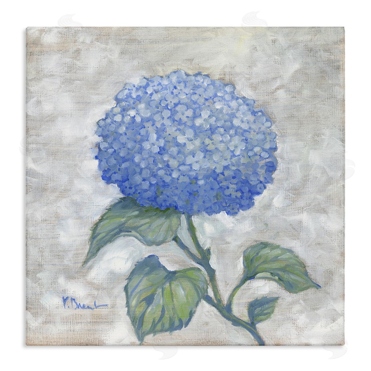 Round Blue Country Hydrangea Canvas Wall Art, Home Decor by Paul Brent