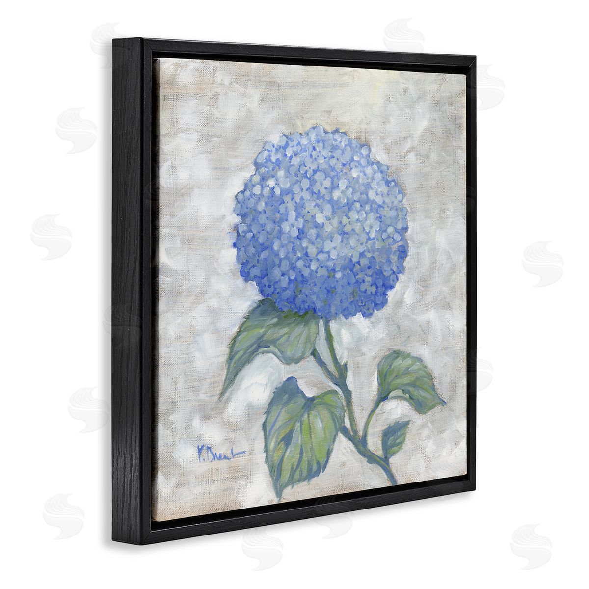 Round Blue Country Hydrangea Black Floating Frame Canvas Wall Art, Home Decor by Paul Brent