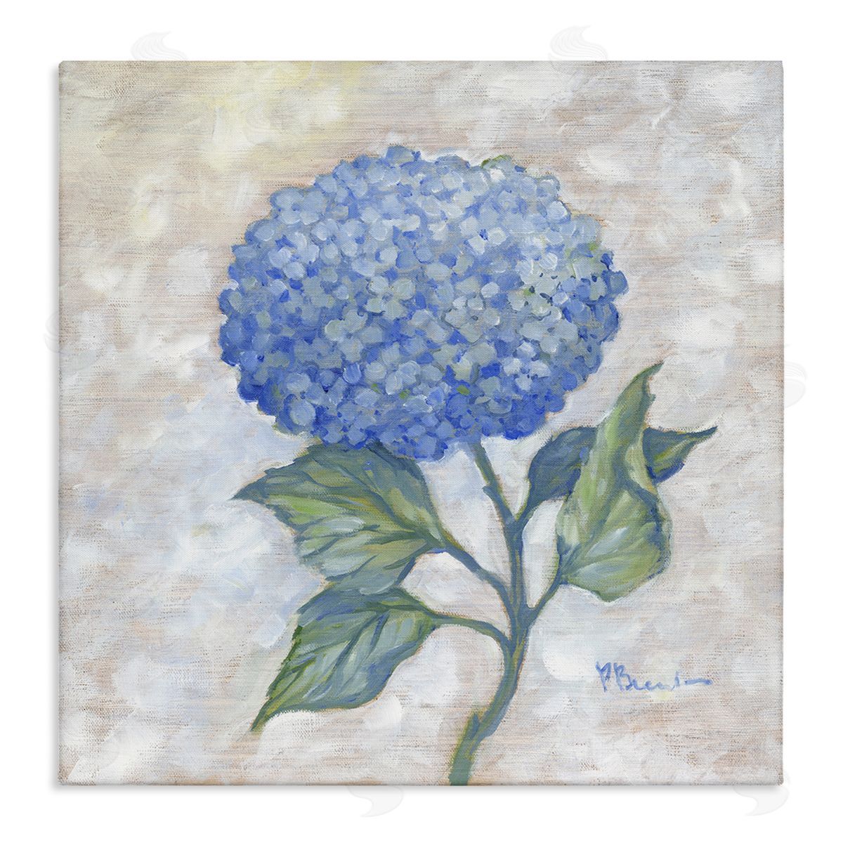 Traditional Blue Hydrangea Bloom Canvas Wall Art, Home Decor by Paul Brent