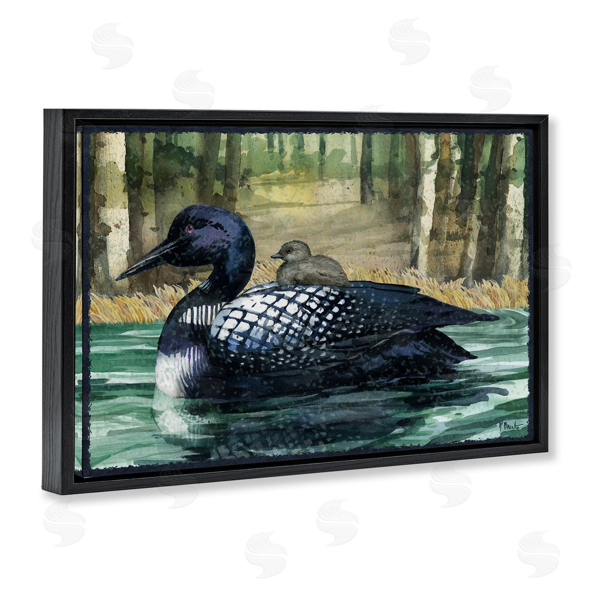 Loon with Baby on Lake Black Floating Frame Canvas Wall Art, Home Decor by Paul Brent