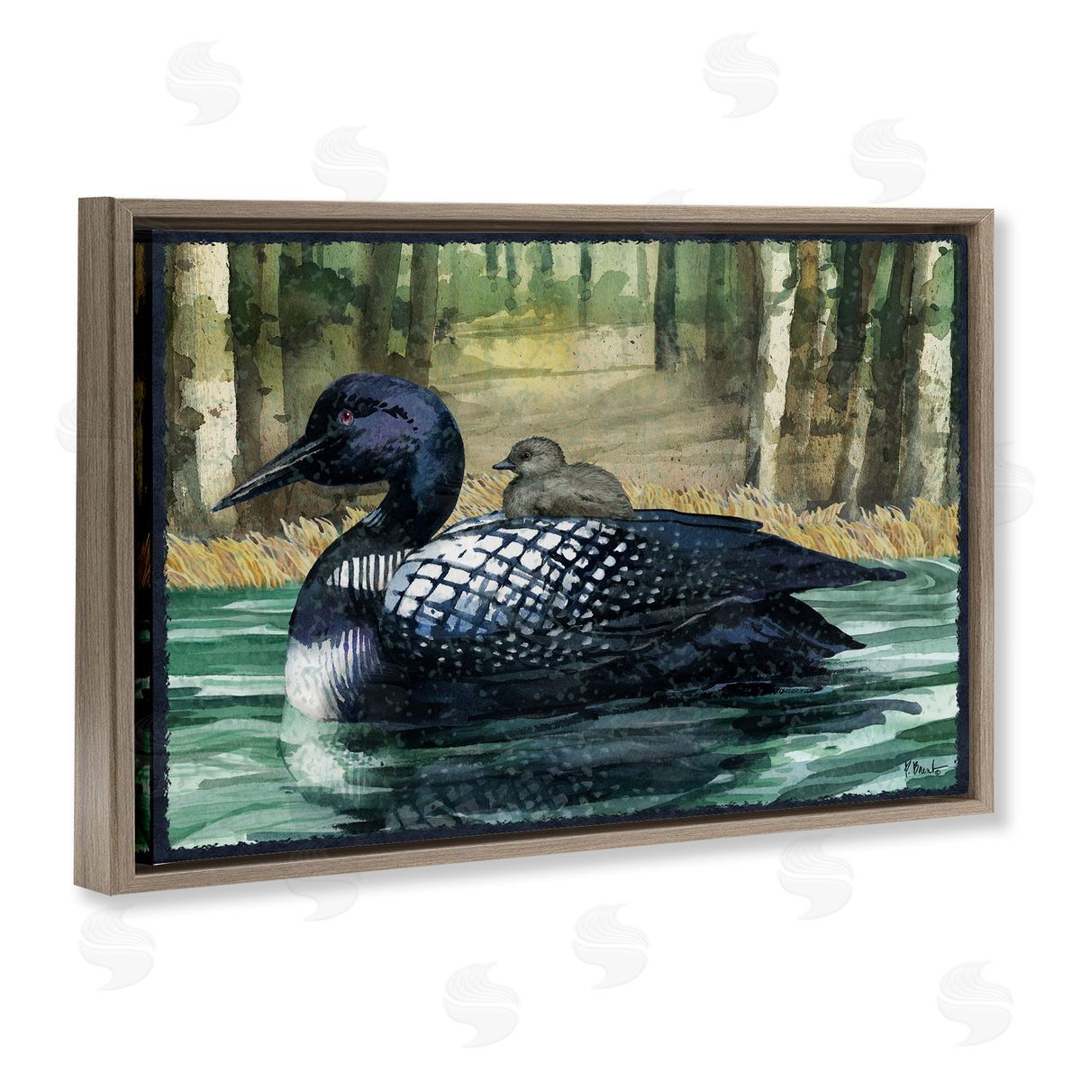 Loon with Baby on Lake Brown Floating Frame Canvas Wall Art, Home Decor by Paul Brent
