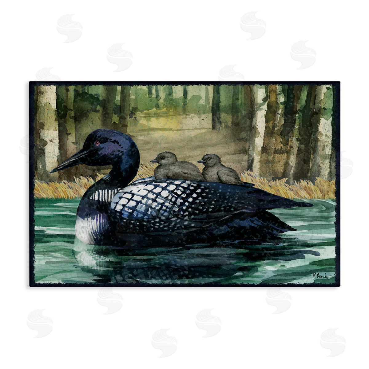 Loon Family on Lake Canvas Wall Art, Home Decor by Paul Brent