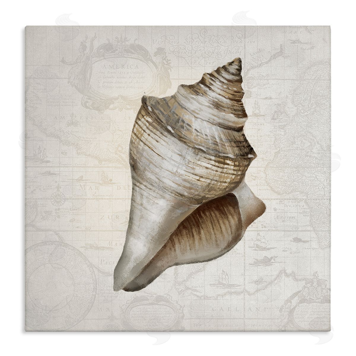 Conch Shell over Vintage Map Canvas Wall Art, Home Decor by Conrad Knutsen
