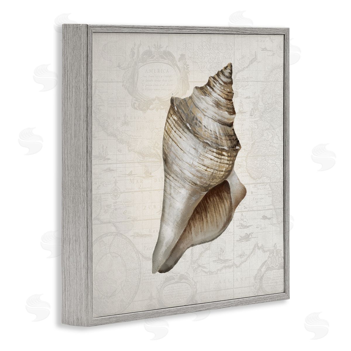 Conch Shell over Vintage Map Grey Frame Print Wall Art, Home Decor by Conrad Knutsen