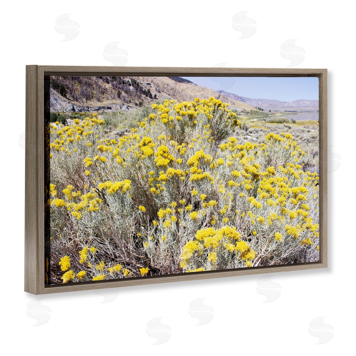 Yellow Flowers in Arid Meadow Brown Floating Frame Canvas Wall Art, Home Decor by Gemma Bardot