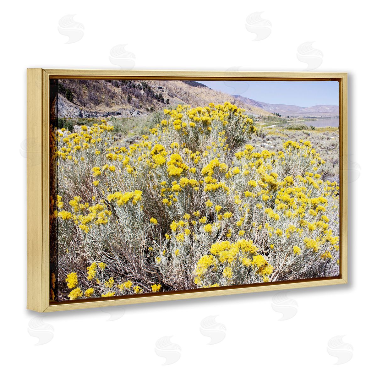 Yellow Flowers in Arid Meadow Gold Floating Frame Canvas Wall Art, Home Decor by Gemma Bardot