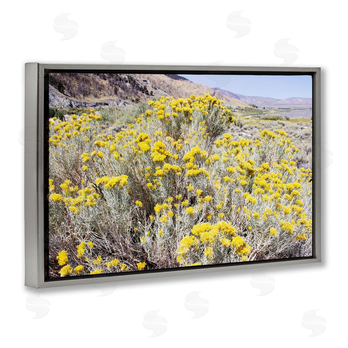 Yellow Flowers in Arid Meadow Grey Floating Frame Canvas Wall Art, Home Decor by Gemma Bardot