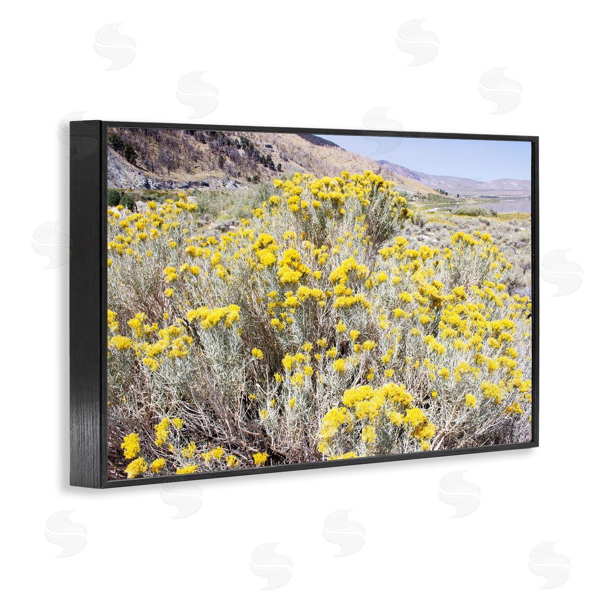 Yellow Flowers in Arid Meadow Black Frame Print Wall Art, Home Decor by Gemma Bardot