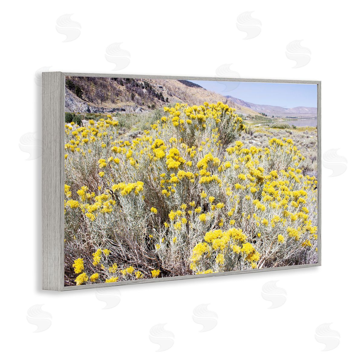 Yellow Flowers in Arid Meadow Grey Frame Print Wall Art, Home Decor by Gemma Bardot