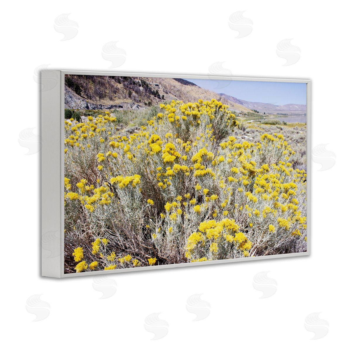 Yellow Flowers in Arid Meadow White Frame Print Wall Art, Home Decor by Gemma Bardot
