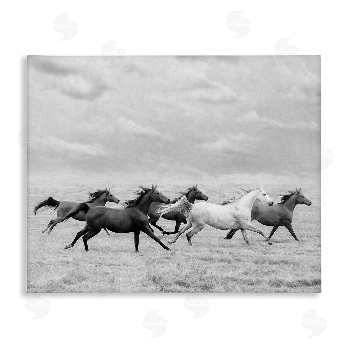 stupell industries PHBurchett | Galloping Horse Herd
