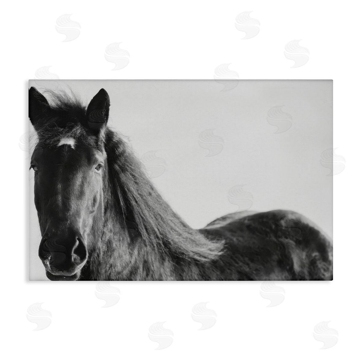Amy Carroll Black Horse in Winter Canvas Wall Art Print