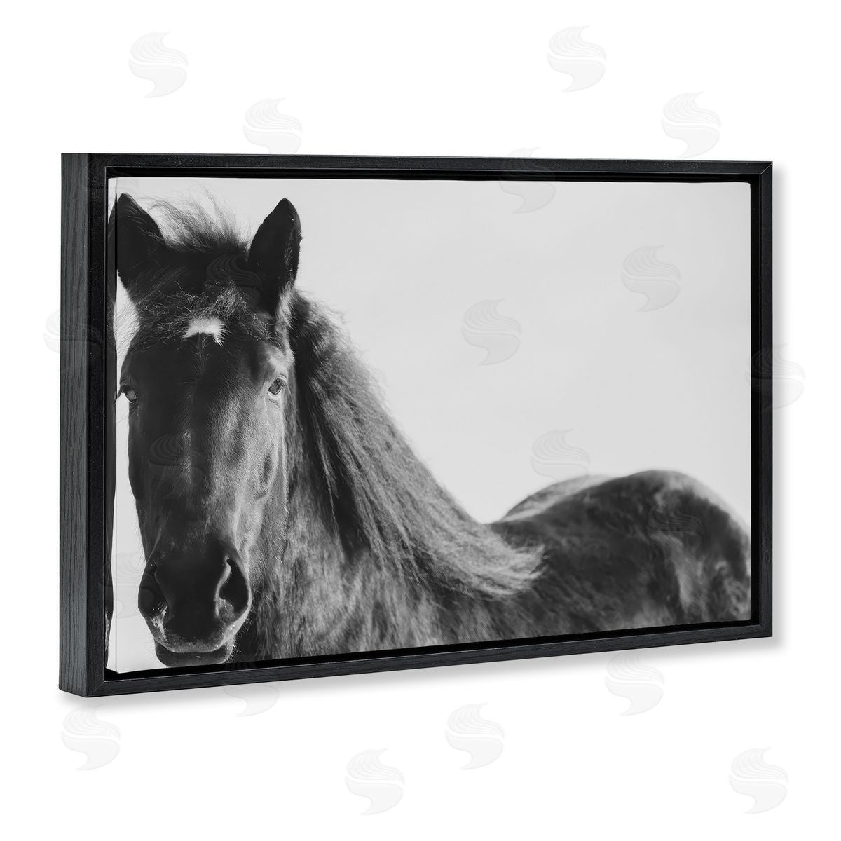 Amy Carroll Black Horse in Winter Canvas Wall Art Print