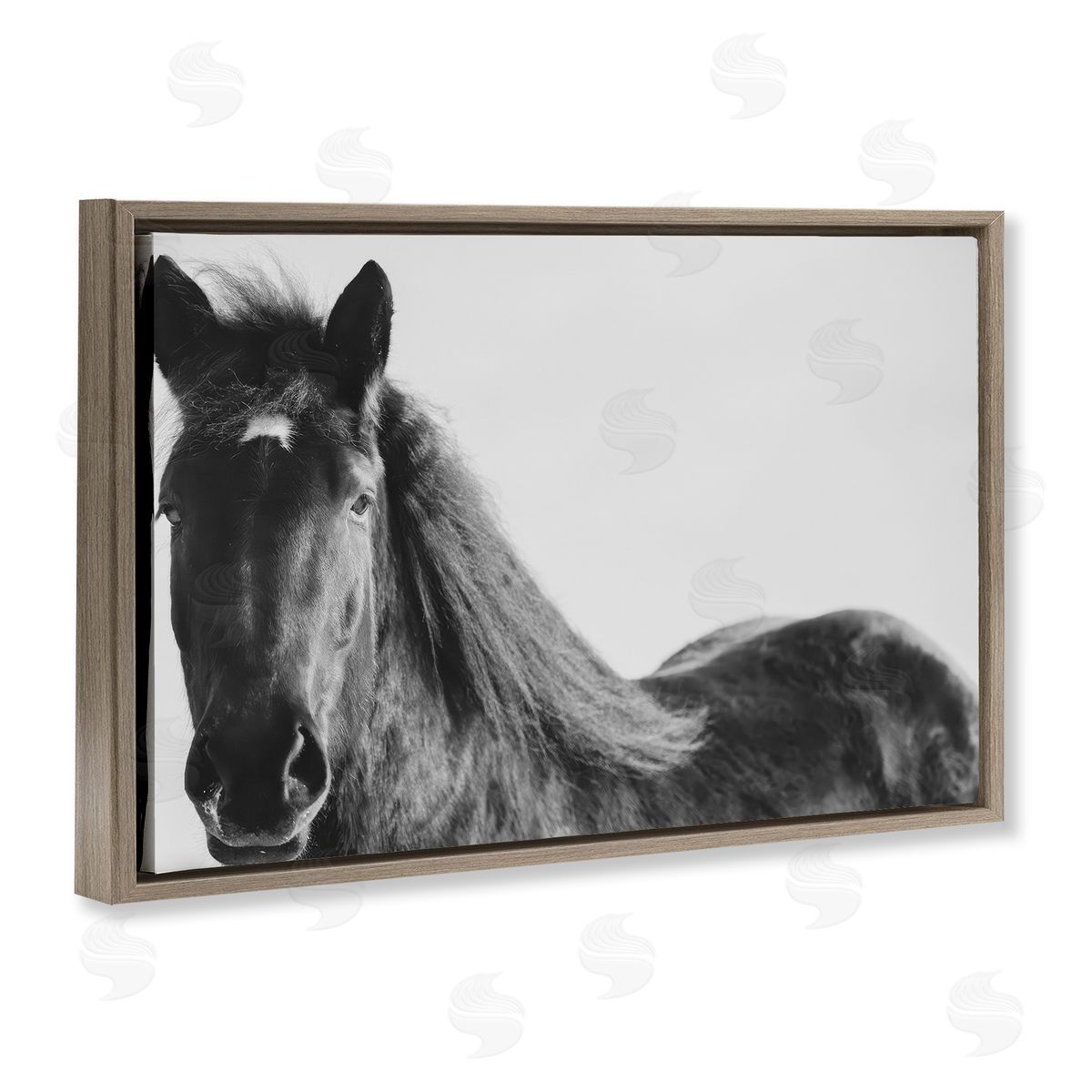 Amy Carroll Black Horse in Winter Canvas Wall Art Print