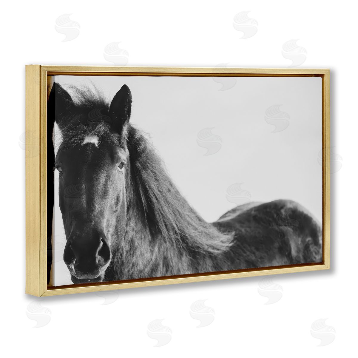 Amy Carroll Black Horse in Winter Canvas Wall Art Print