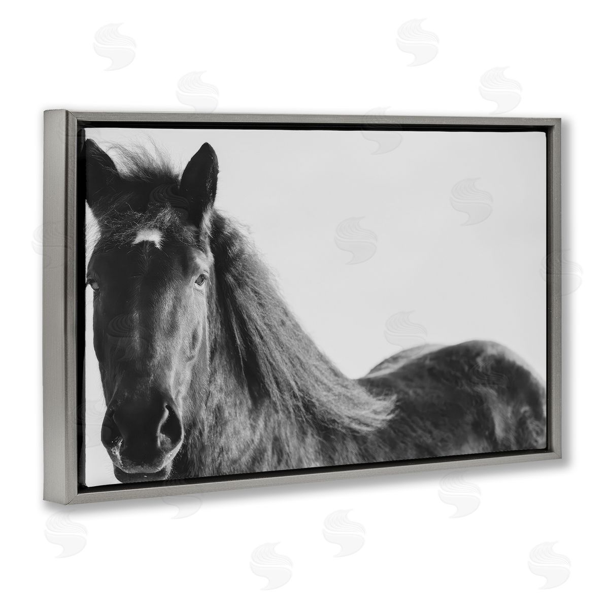 Amy Carroll Black Horse in Winter Canvas Wall Art Print
