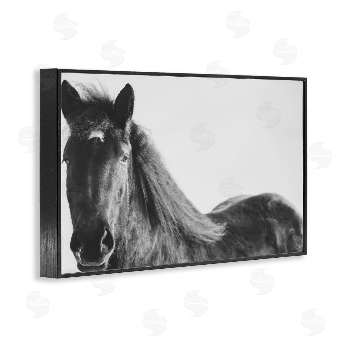 Amy Carroll Black Horse in Winter Canvas Wall Art Print