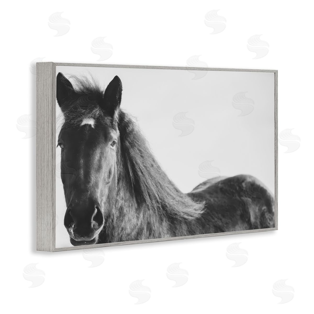Amy Carroll Black Horse in Winter Canvas Wall Art Print