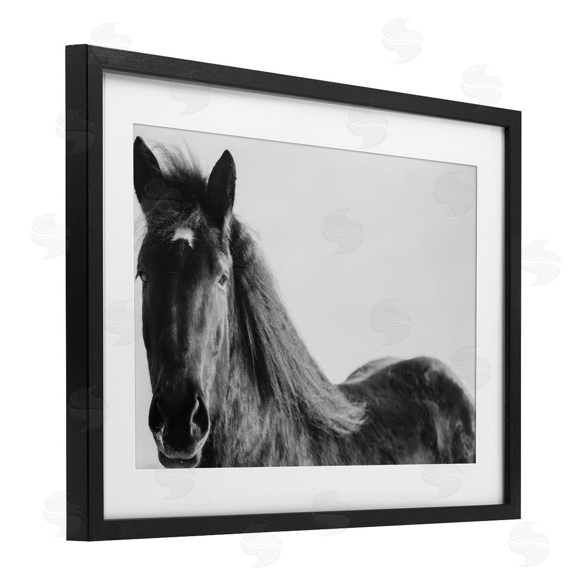 Amy Carroll Black Horse in Winter Canvas Wall Art Print