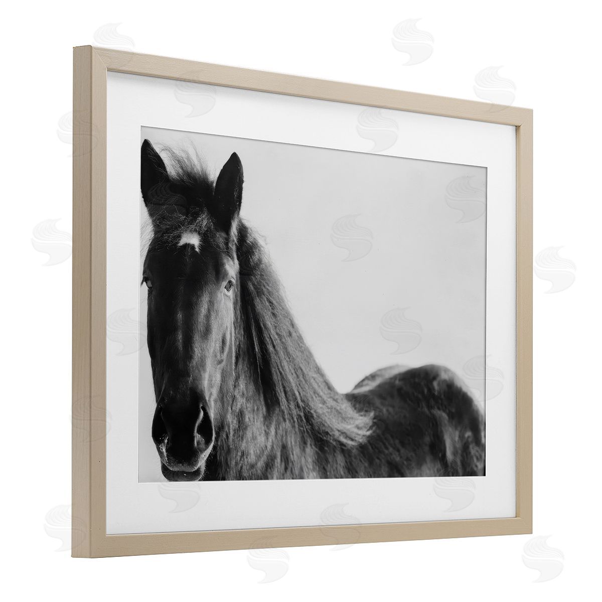 Amy Carroll Black Horse in Winter Canvas Wall Art Print