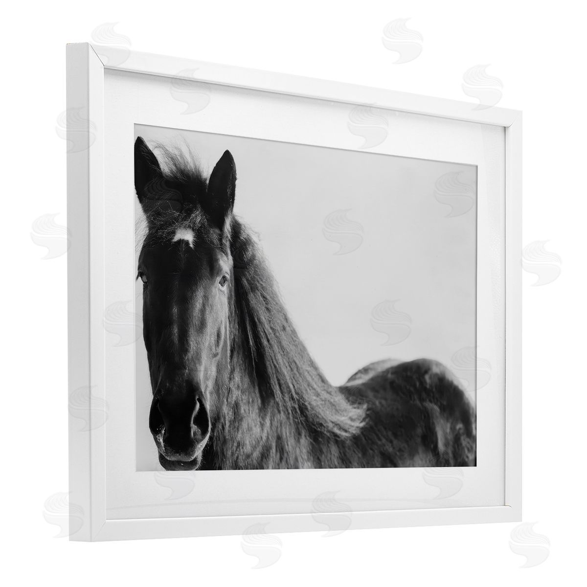 Amy Carroll Black Horse in Winter Canvas Wall Art Print