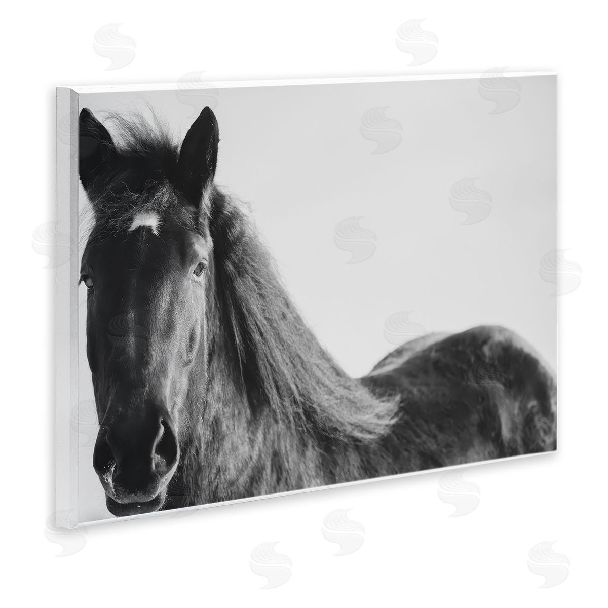 Amy Carroll Black Horse in Winter Canvas Wall Art Print