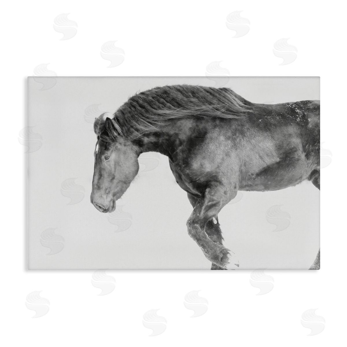 Amy Carroll Winter Stallion Gallop Canvas Wall Art Print