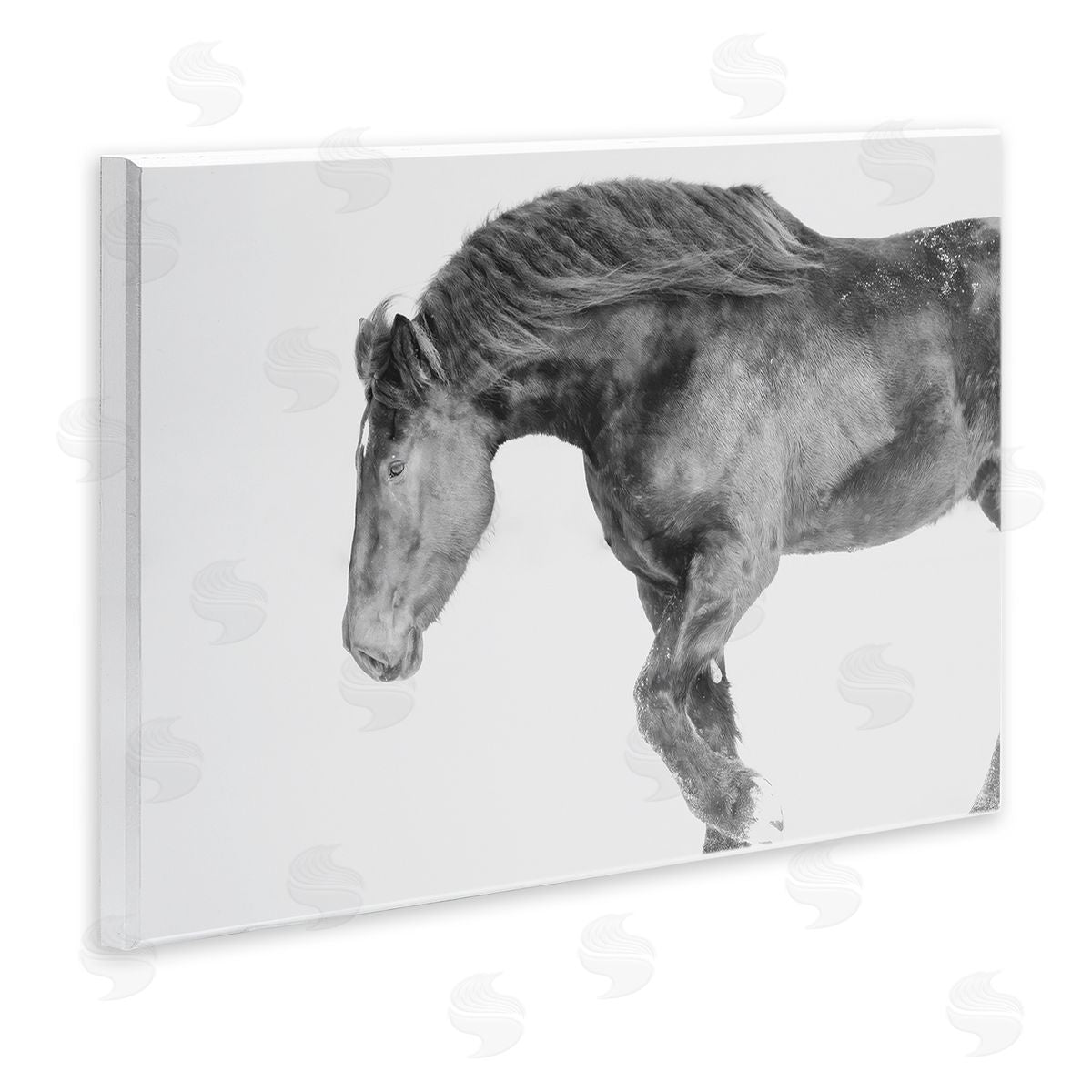 Amy Carroll Winter Stallion Gallop Canvas Wall Art Print