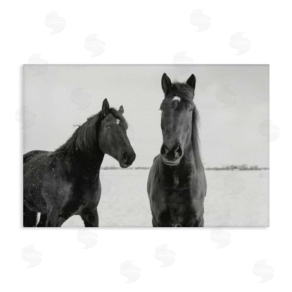 Amy Carroll Draisma Hirdes Winter Horses Canvas Wall Art Print