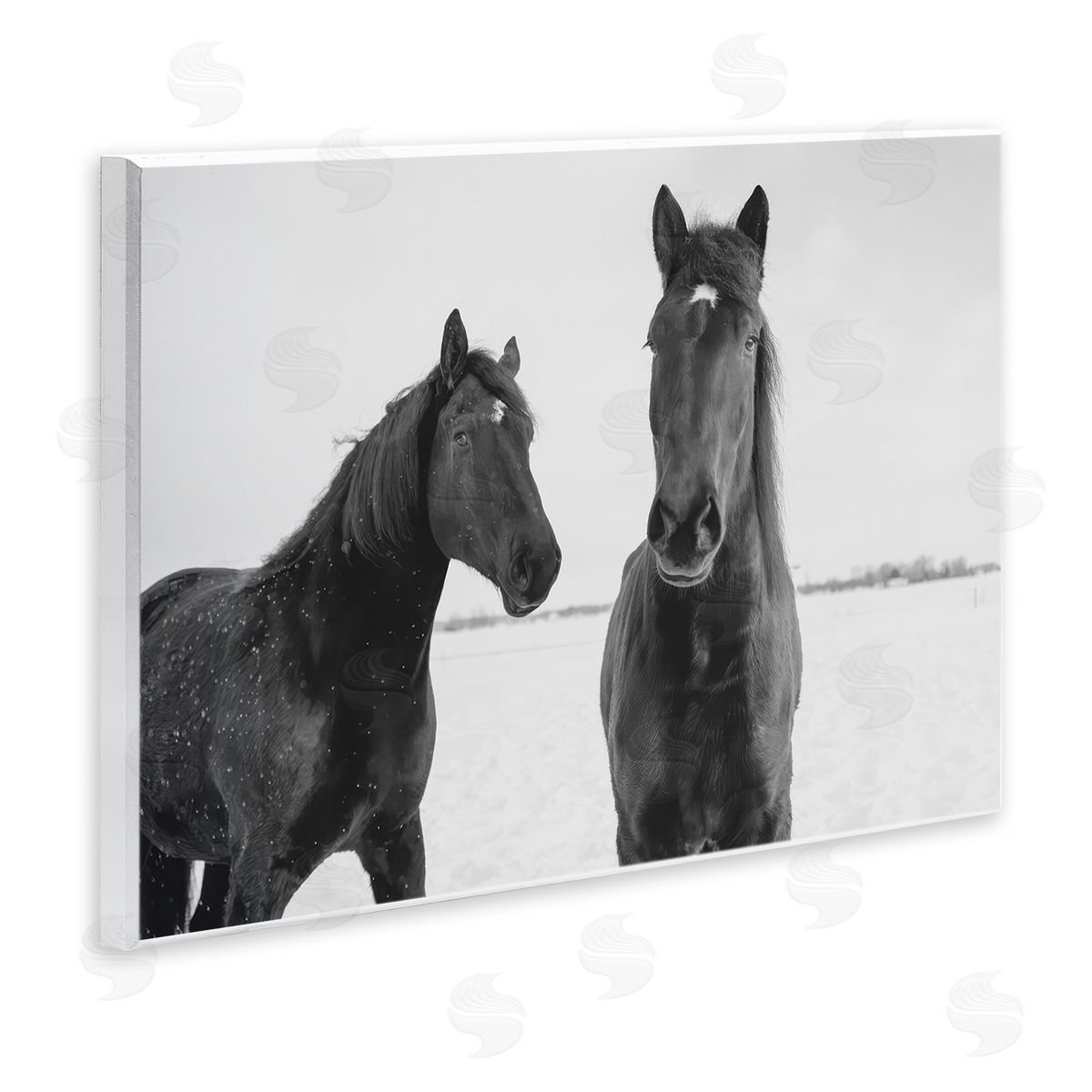 Amy Carroll Draisma Hirdes Winter Horses Canvas Wall Art Print