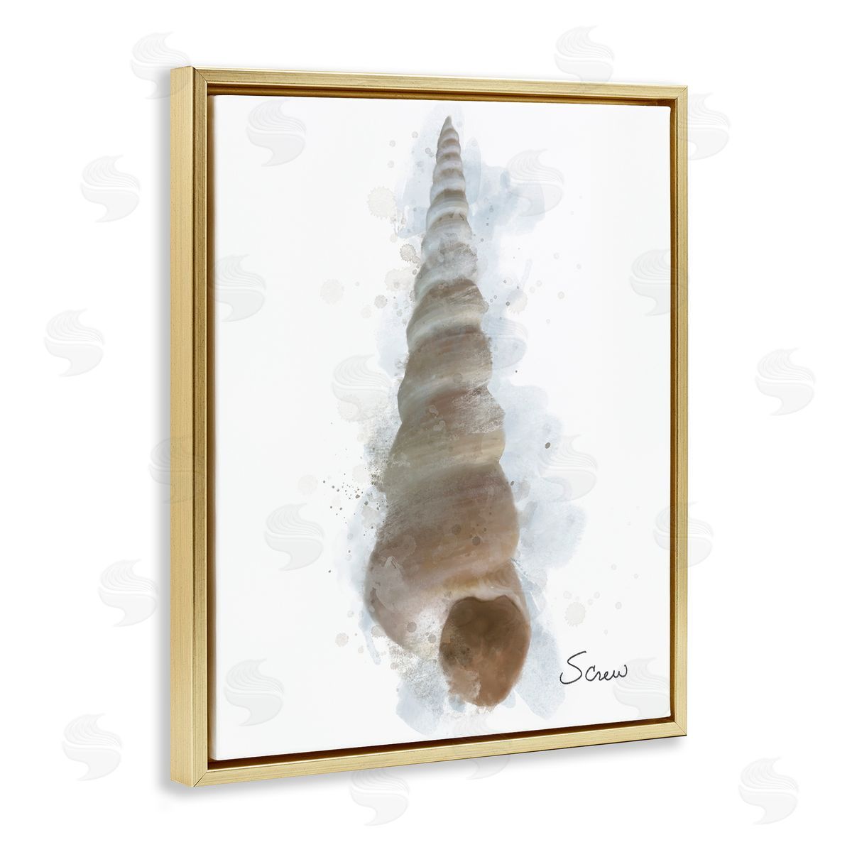 Matthew Piotrowicz Honeybloom Turritella Shell Canvas Wall Art Print