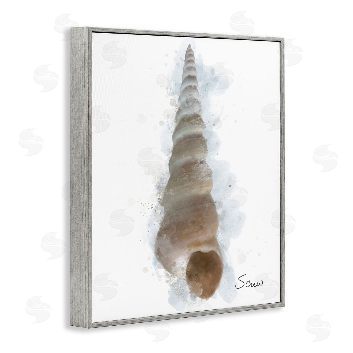 Matthew Piotrowicz Honeybloom Turritella Shell Canvas Wall Art Print
