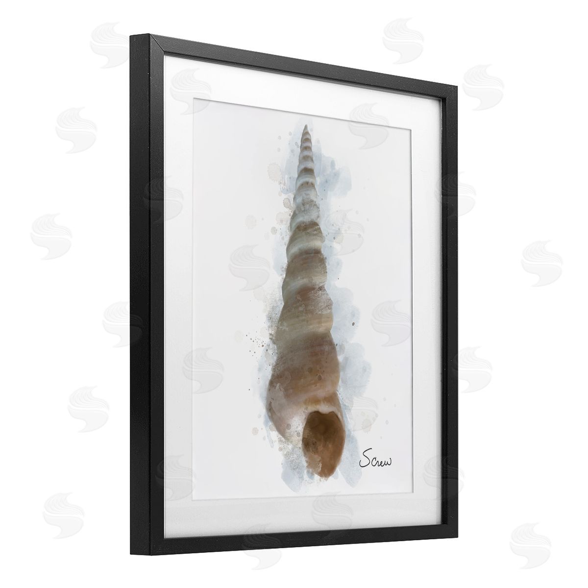 Matthew Piotrowicz Honeybloom Turritella Shell Canvas Wall Art Print