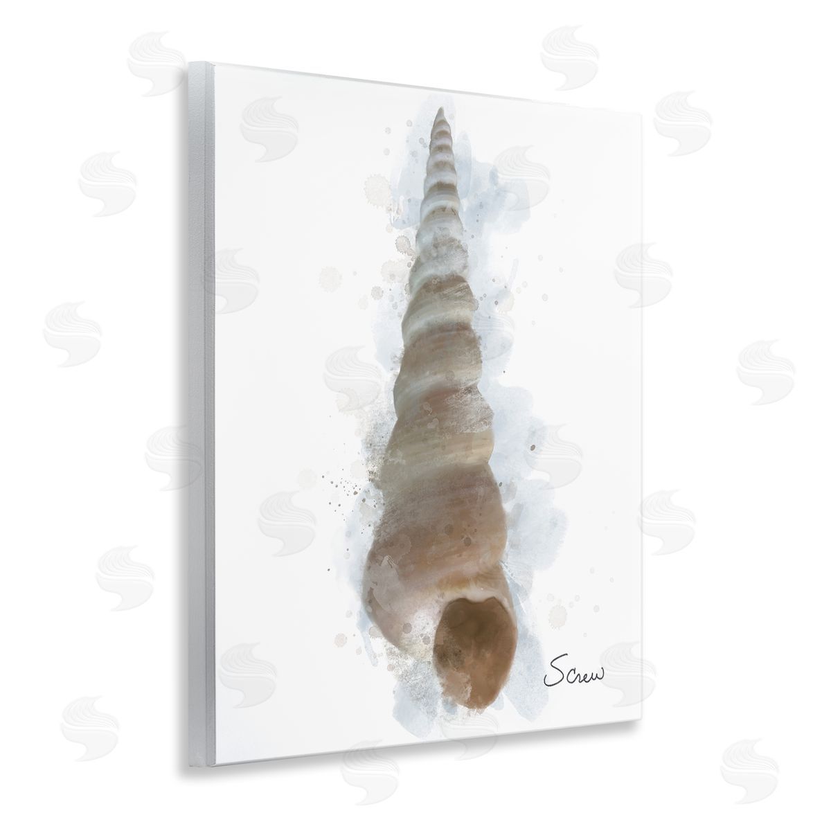 Matthew Piotrowicz Honeybloom Turritella Shell Canvas Wall Art Print