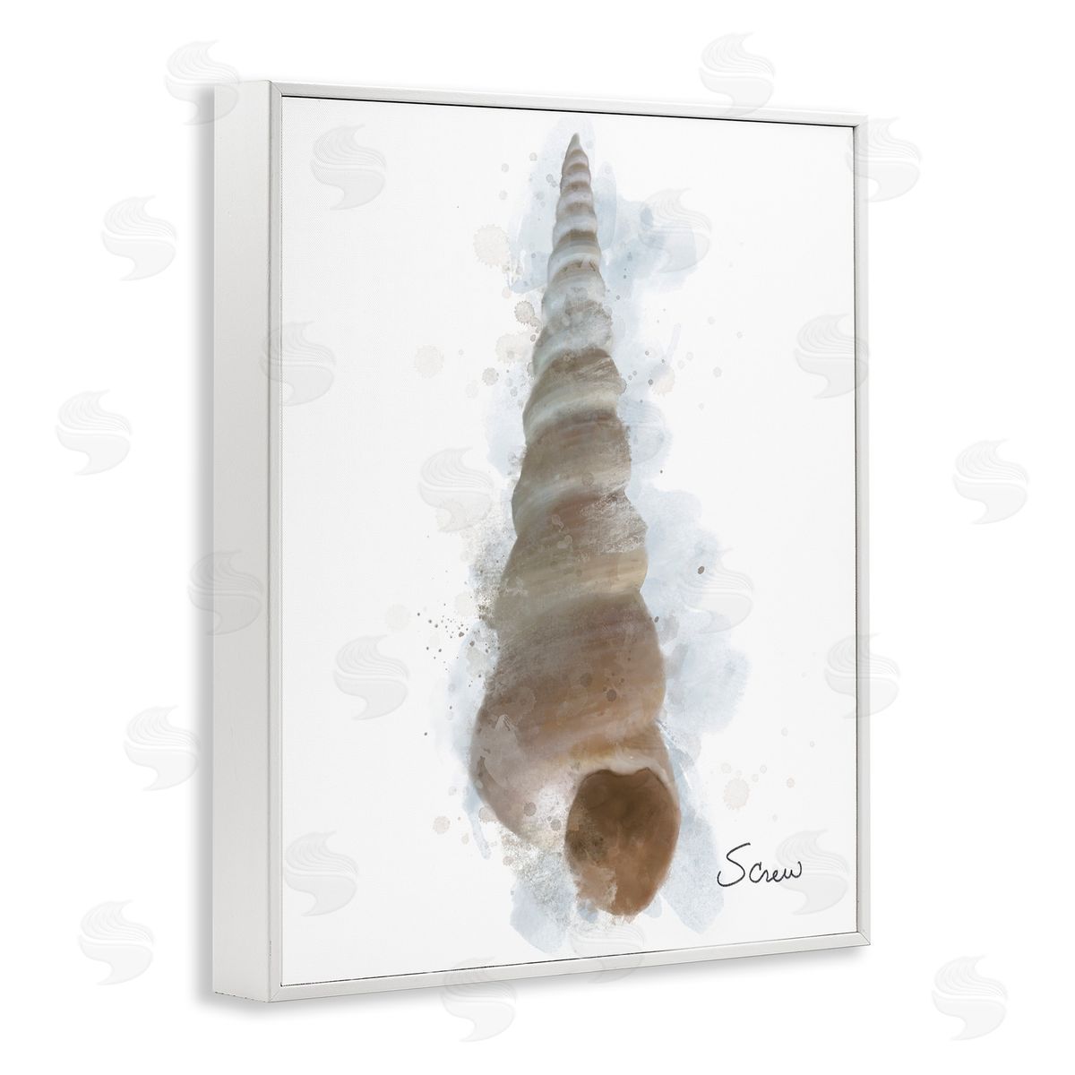 Matthew Piotrowicz Honeybloom Turritella Shell Canvas Wall Art Print