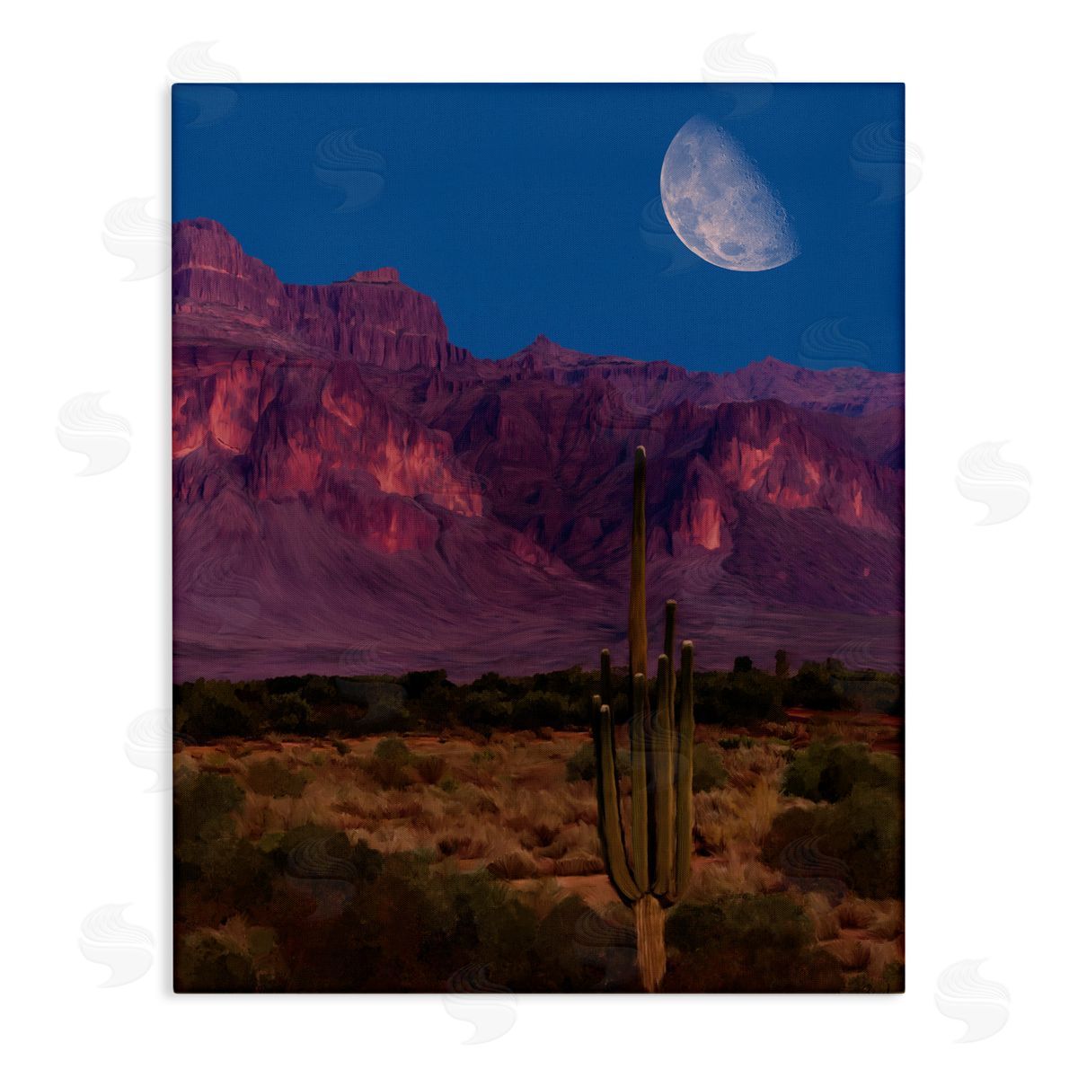 Renel Peters Cactus In The Mountains Canvas Wall Art Print