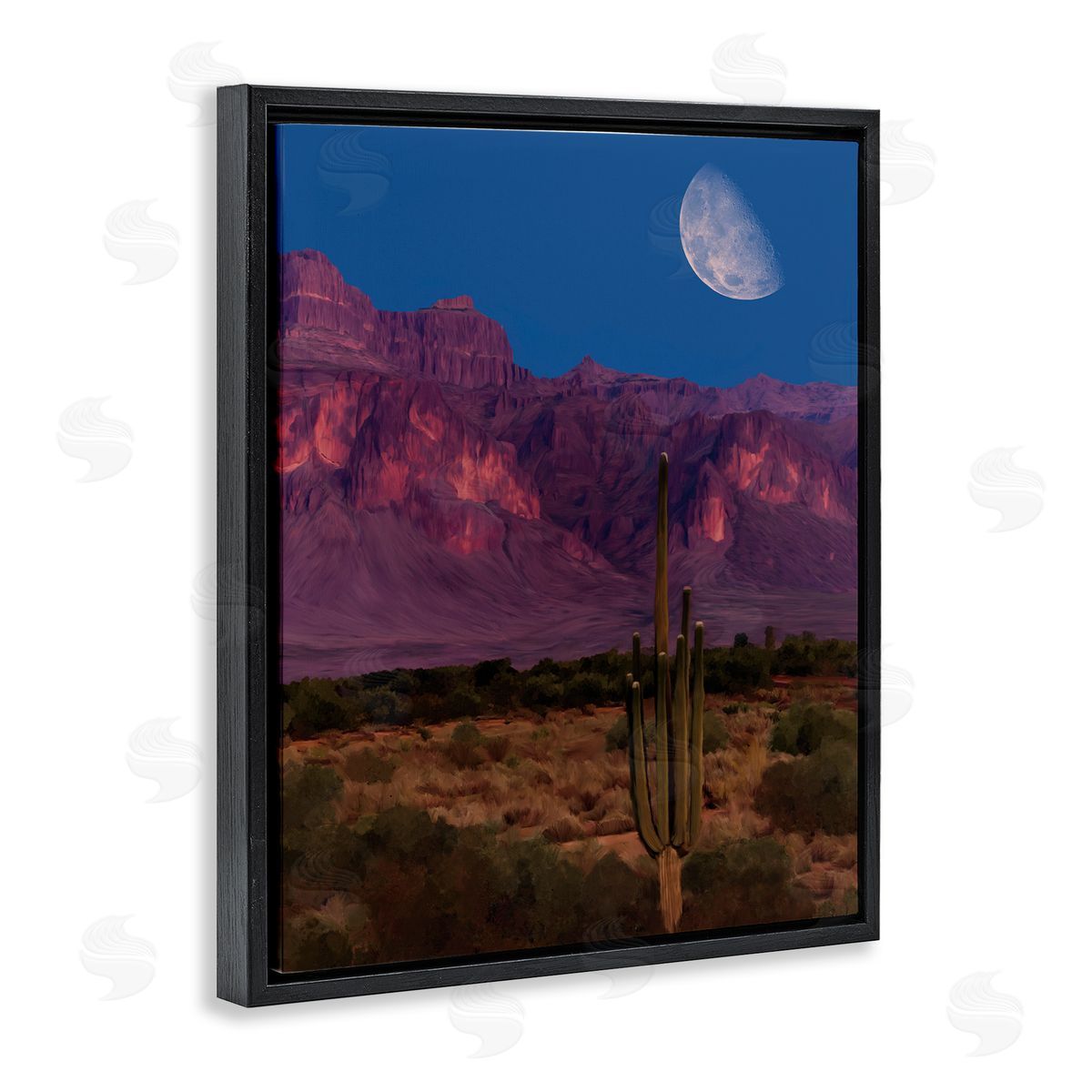 Renel Peters Cactus In The Mountains Canvas Wall Art Print