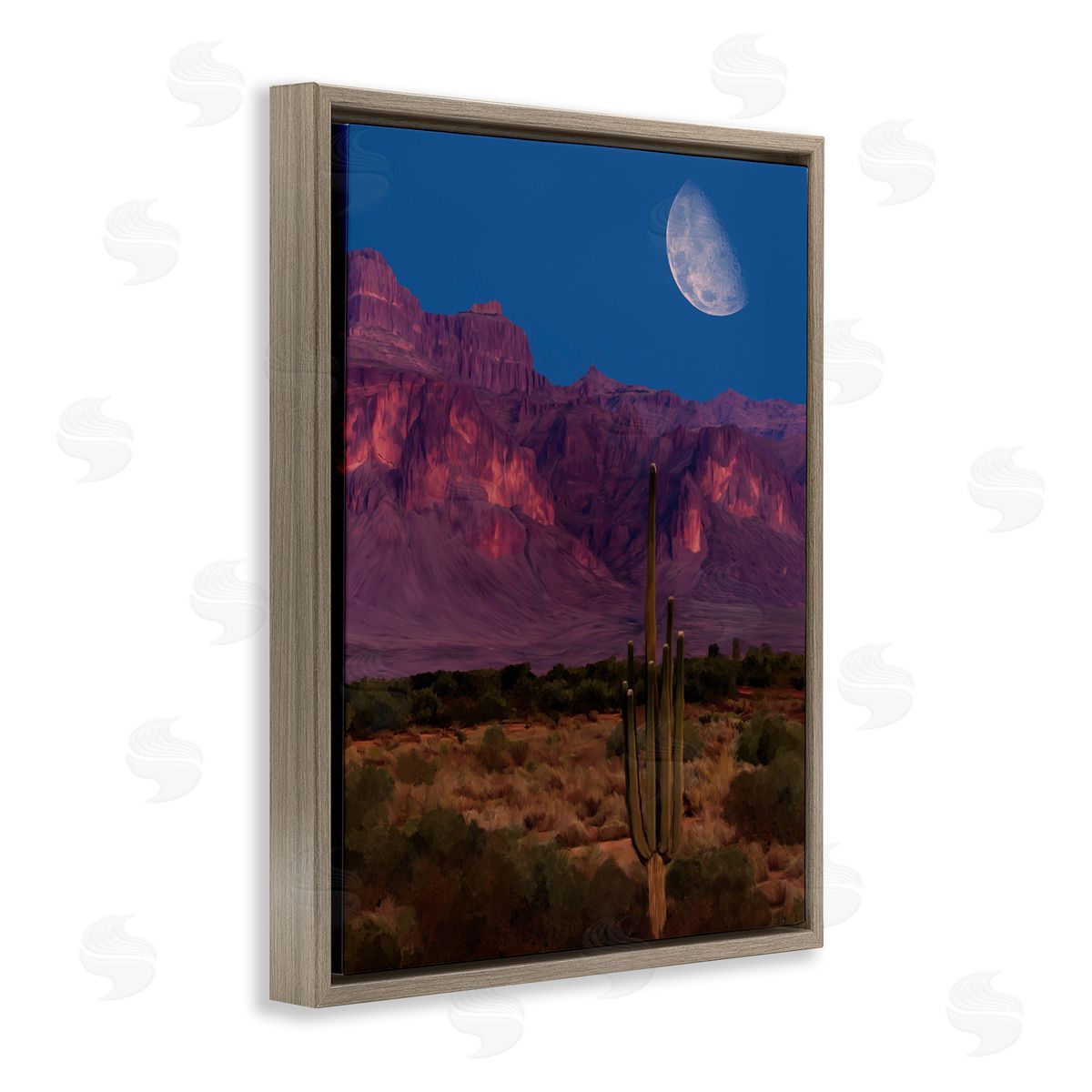 Renel Peters Cactus In The Mountains Canvas Wall Art Print