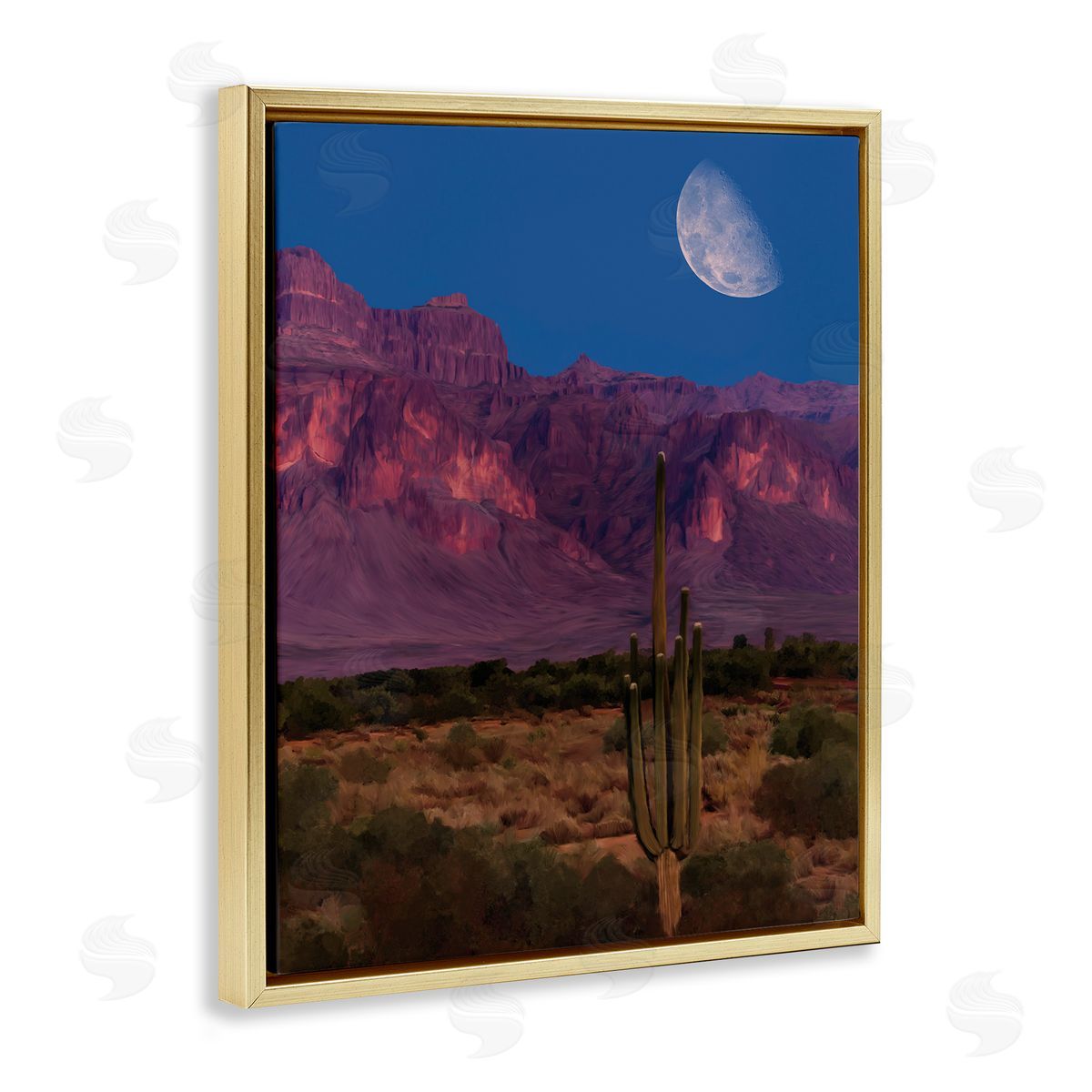 Renel Peters Cactus In The Mountains Canvas Wall Art Print