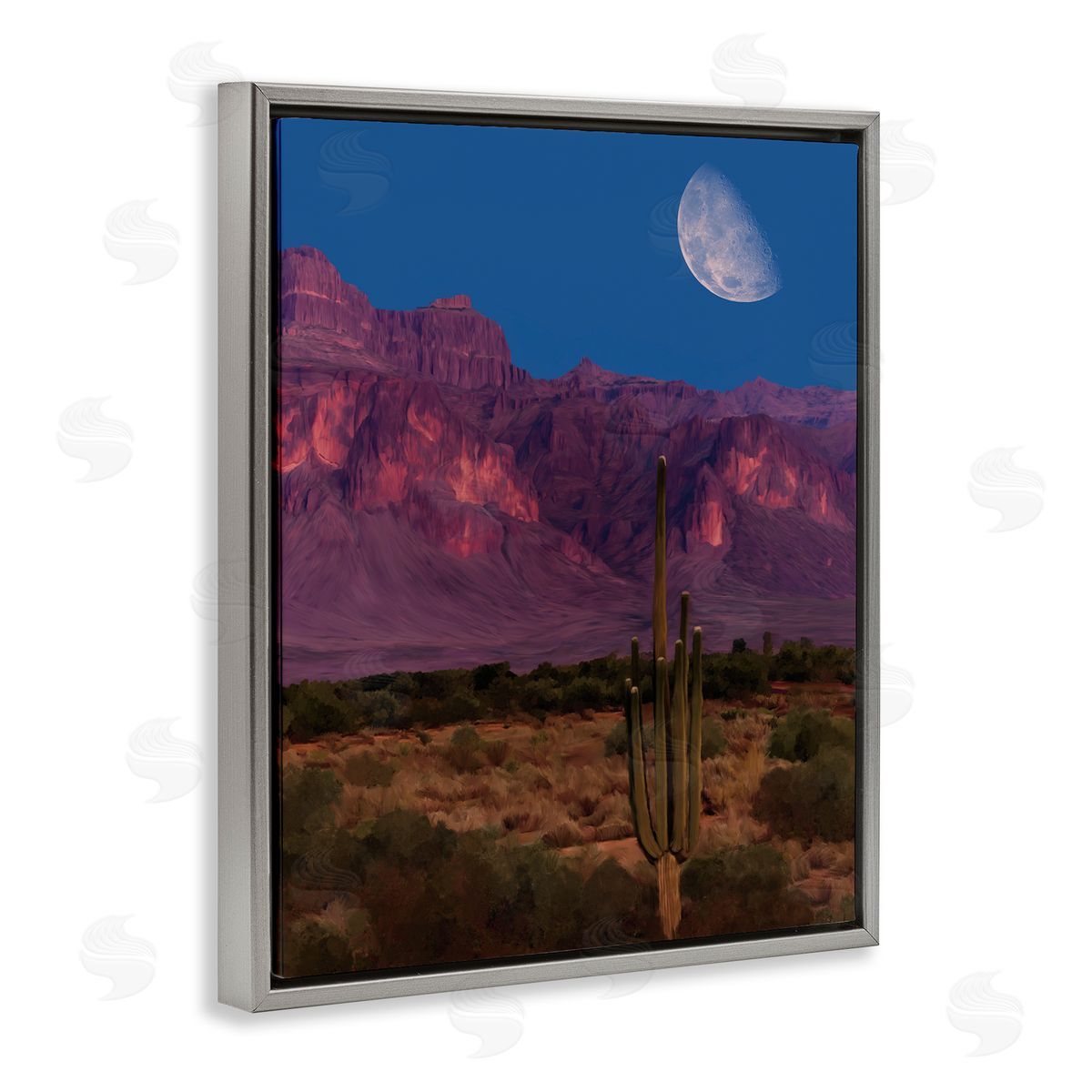 Renel Peters Cactus In The Mountains Canvas Wall Art Print