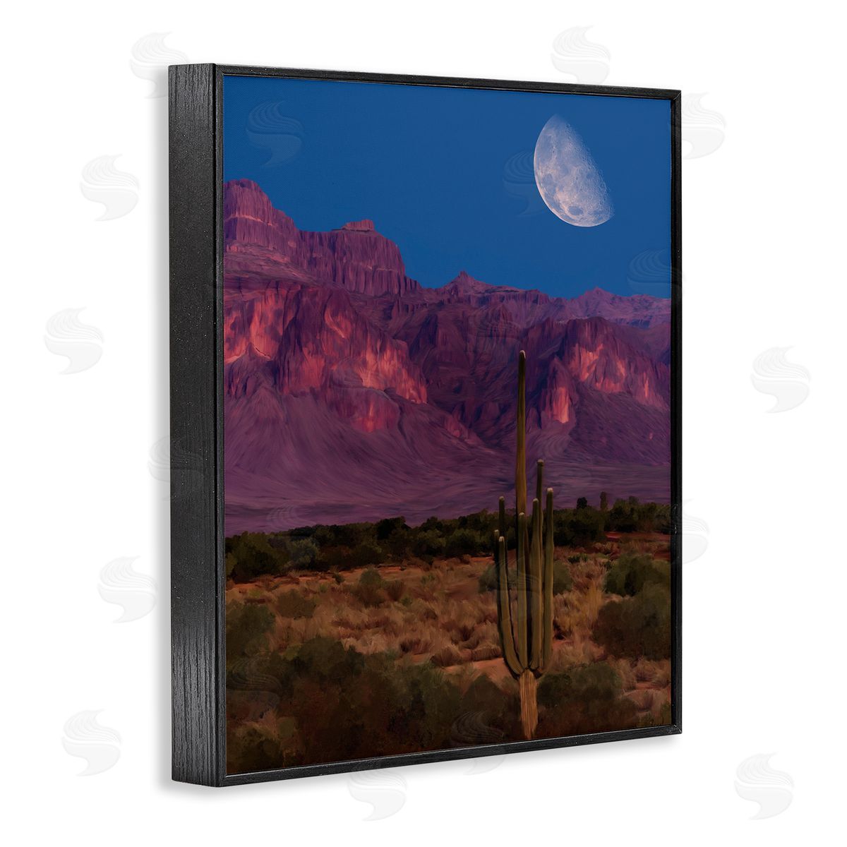 Renel Peters Cactus In The Mountains Canvas Wall Art Print