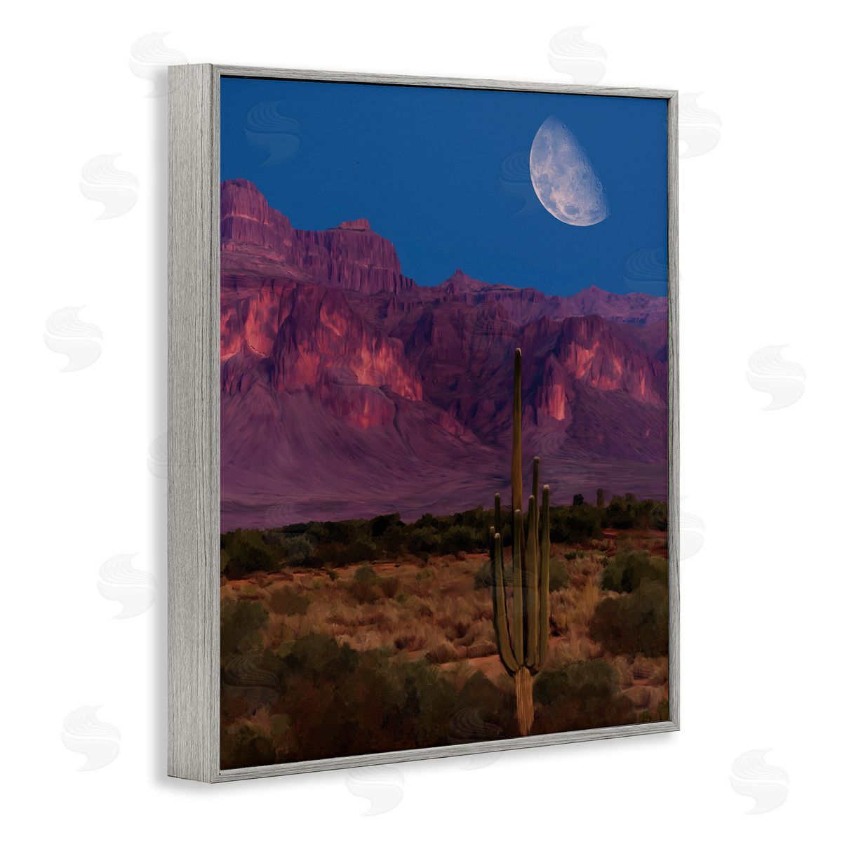 Renel Peters Cactus In The Mountains Canvas Wall Art Print