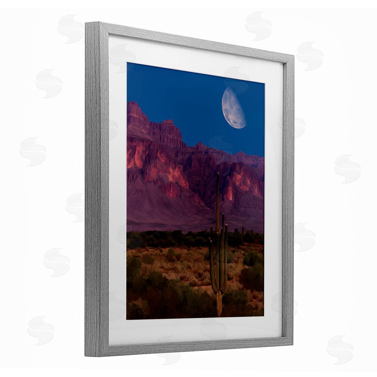 Renel Peters Cactus In The Mountains Canvas Wall Art Print