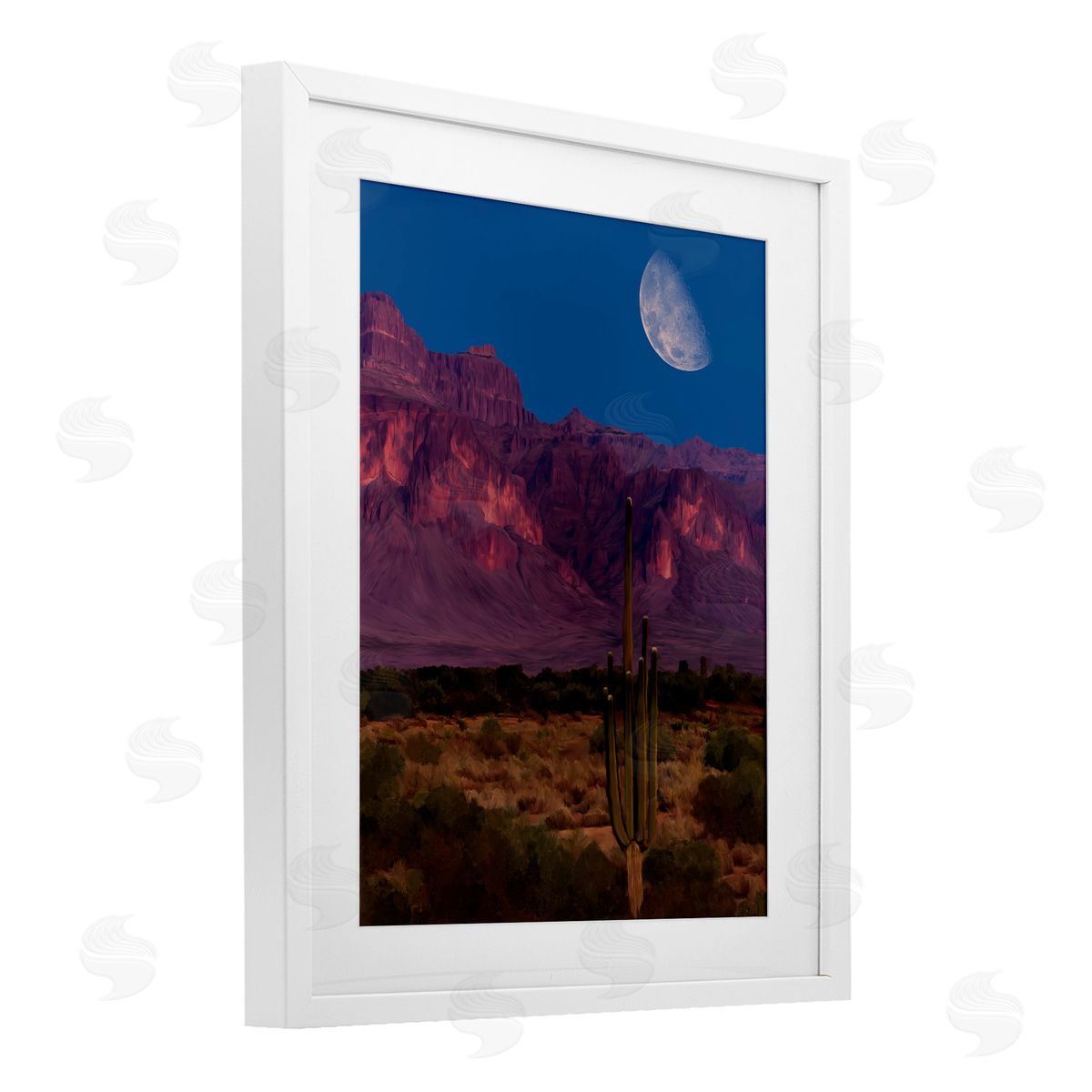 Renel Peters Cactus In The Mountains Canvas Wall Art Print